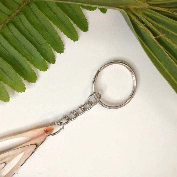 Seashell Keyring Slice Conch Seashell Clearwater Beach, Florida - Picture 3 of 13